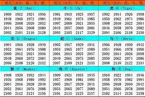 1995年屬|1995 年出生属什么生肖